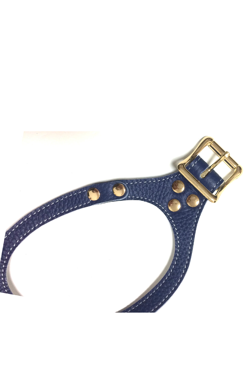 BuddyBelts Harness & Lead – Emblem Blue
