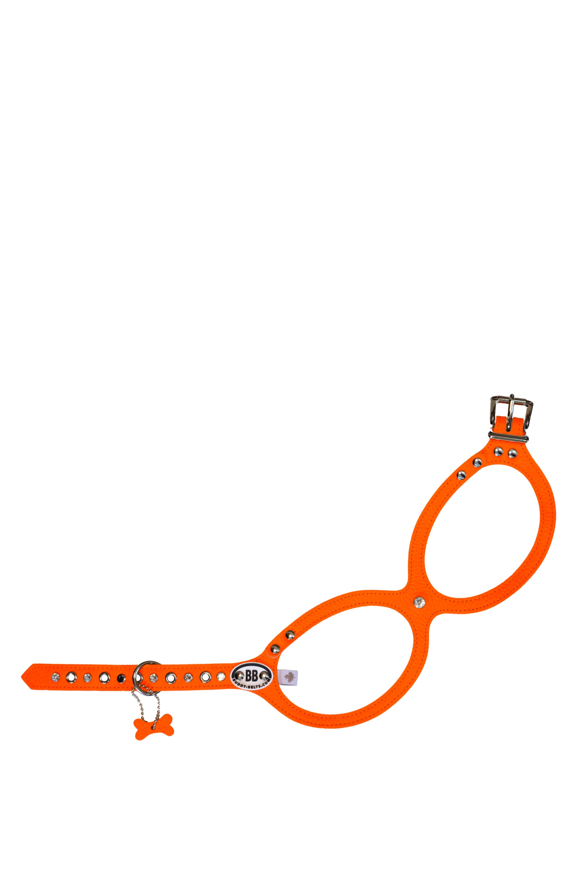 BuddyBelts Harness & Lead – Fireball