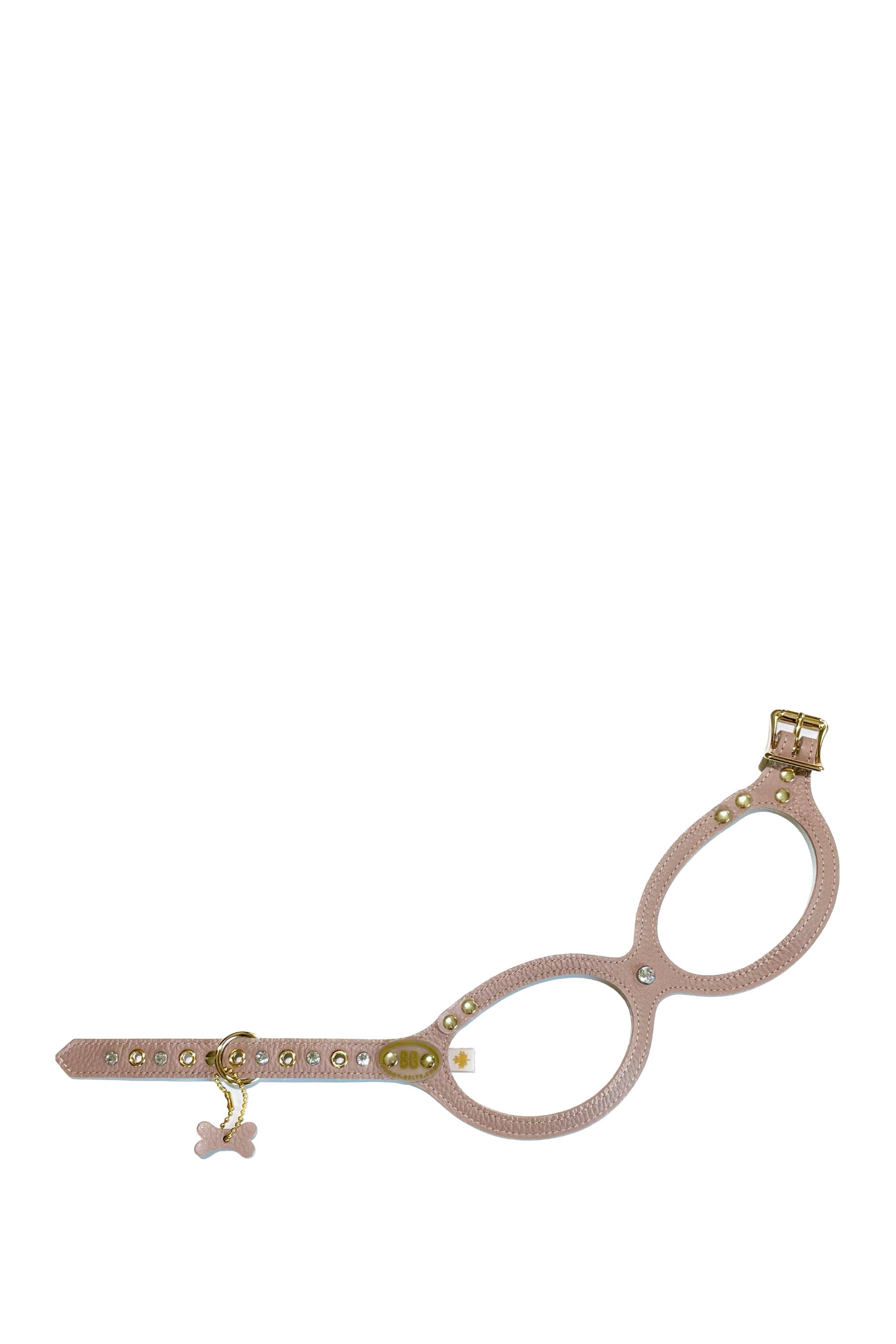 BuddyBelts Harness & Lead – Latte