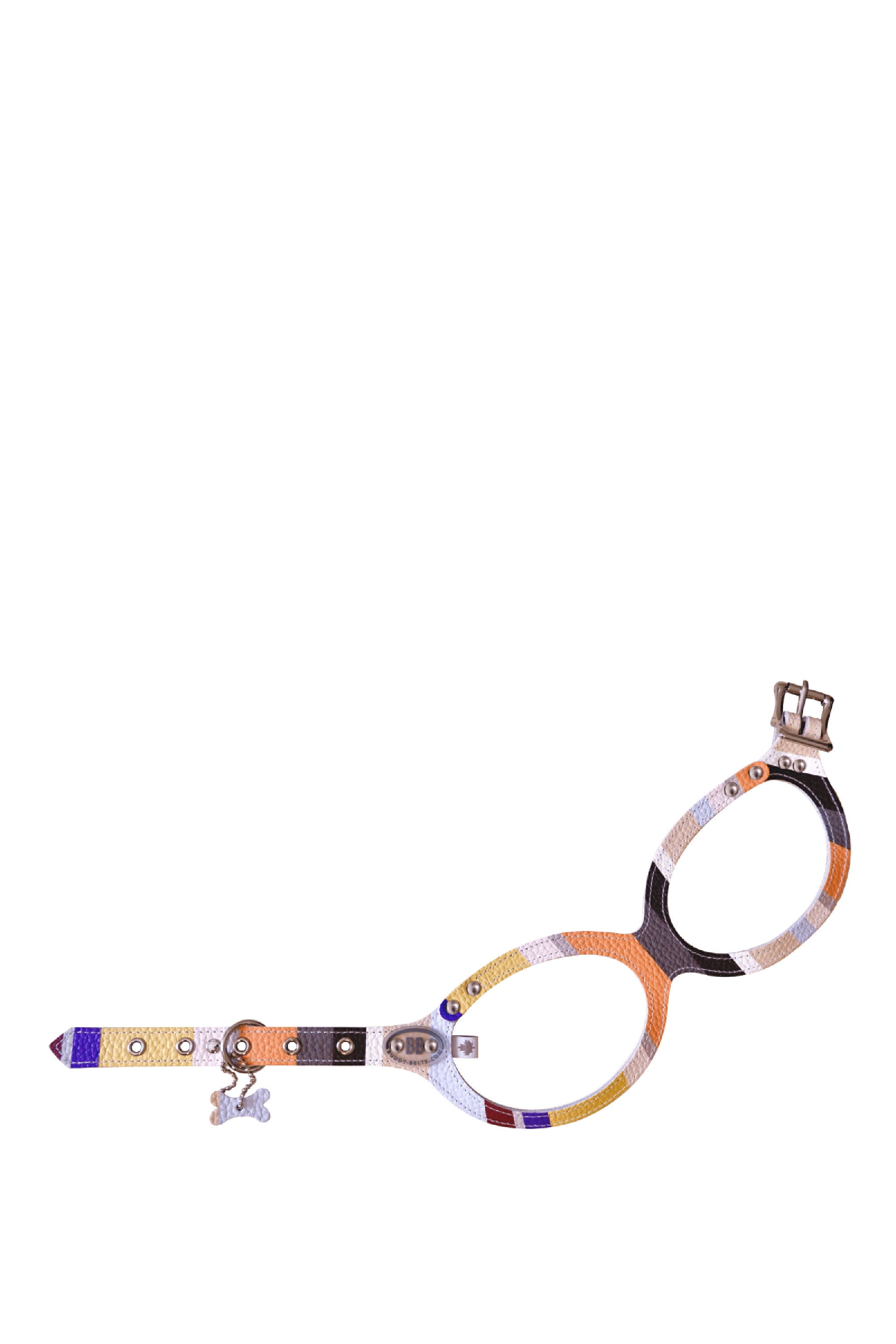 BuddyBelts Harness & Lead – Mod