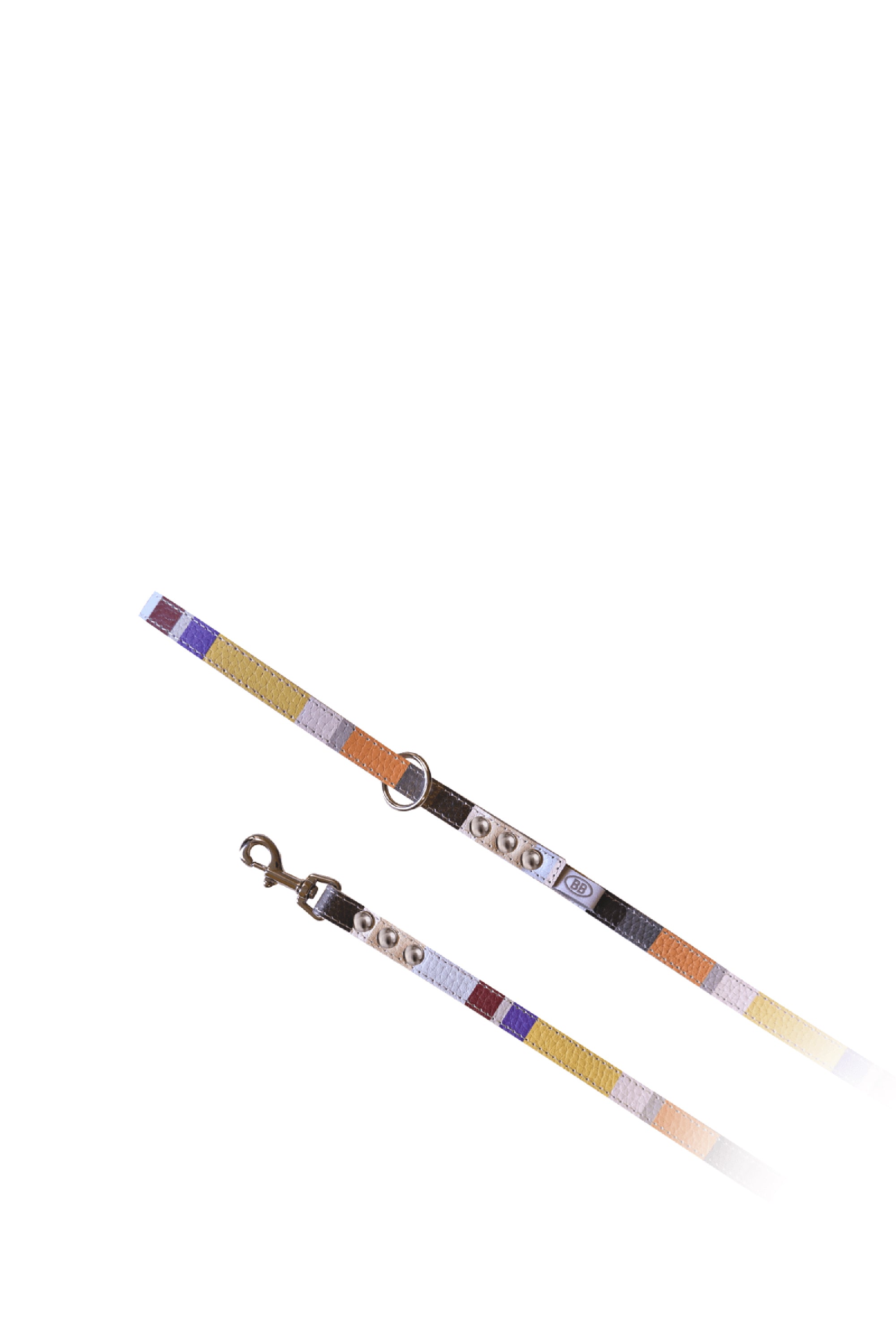 BuddyBelts Harness & Lead – Mod