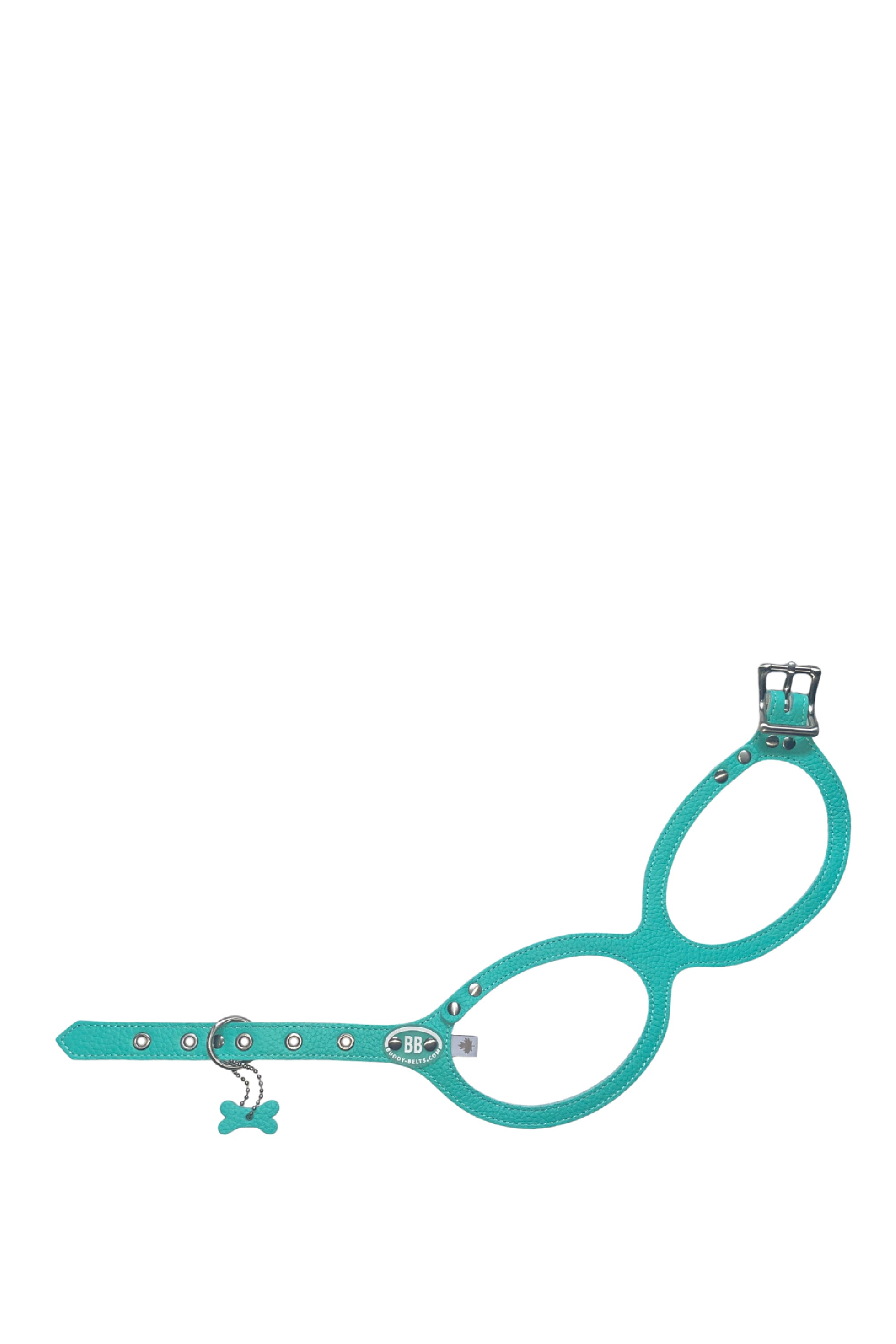 BuddyBelts Harness & Lead – Robin's egg blue