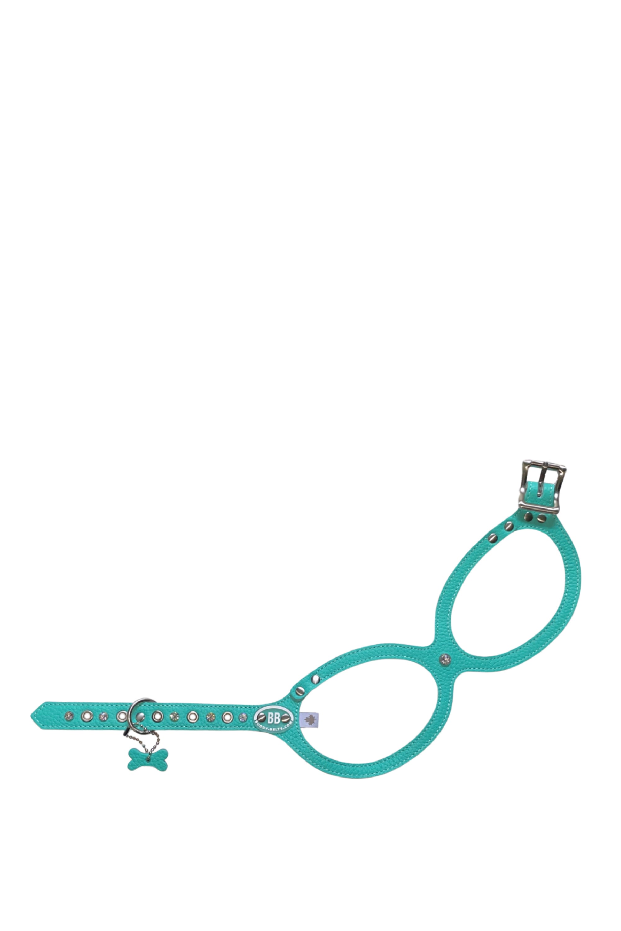 BuddyBelts Harness & Lead – Robin's egg blue