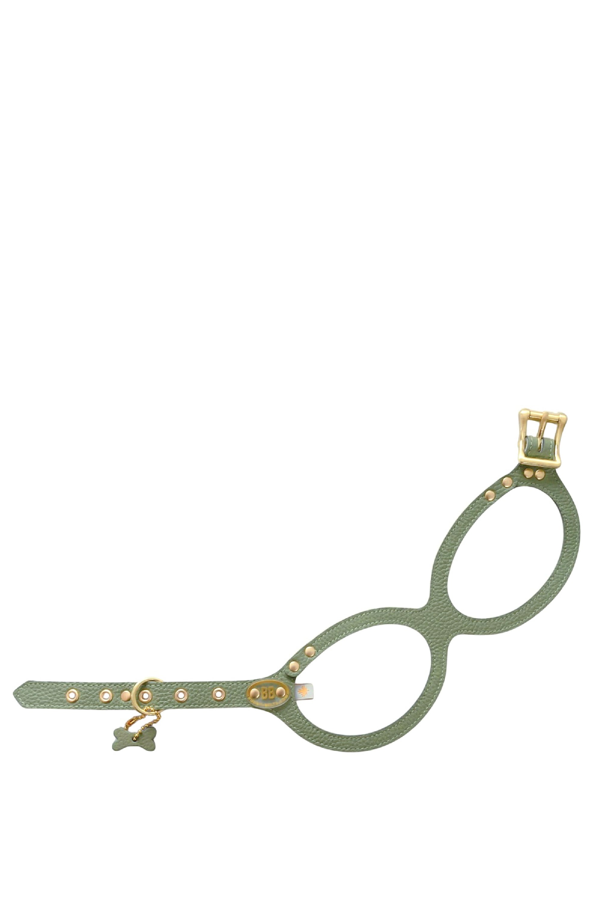 BuddyBelts Harness & Lead – Sage
