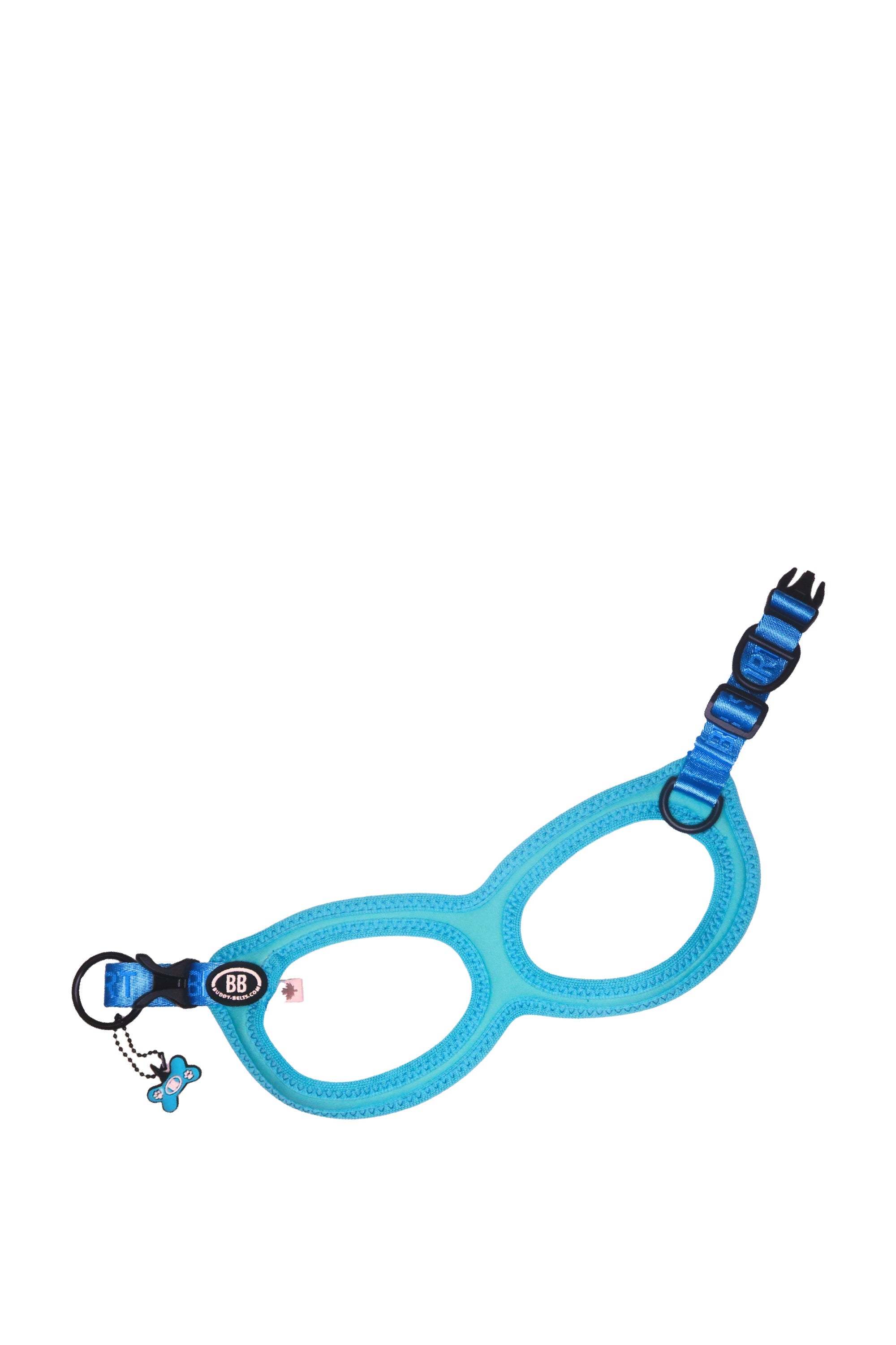 BuddyBelts Harness & Lead – Kingfisher