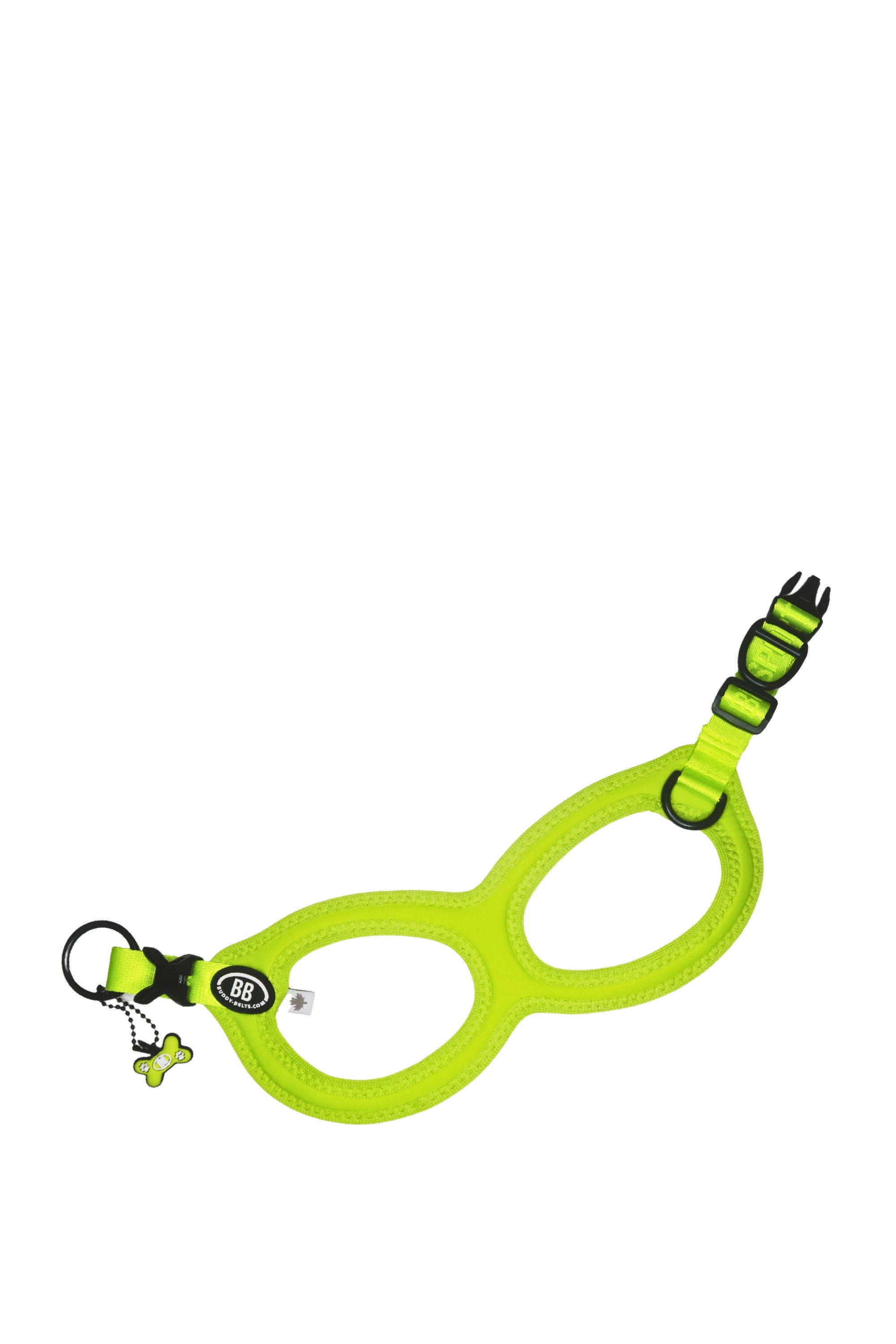 BuddyBelts Harness & Lead – Kiwi