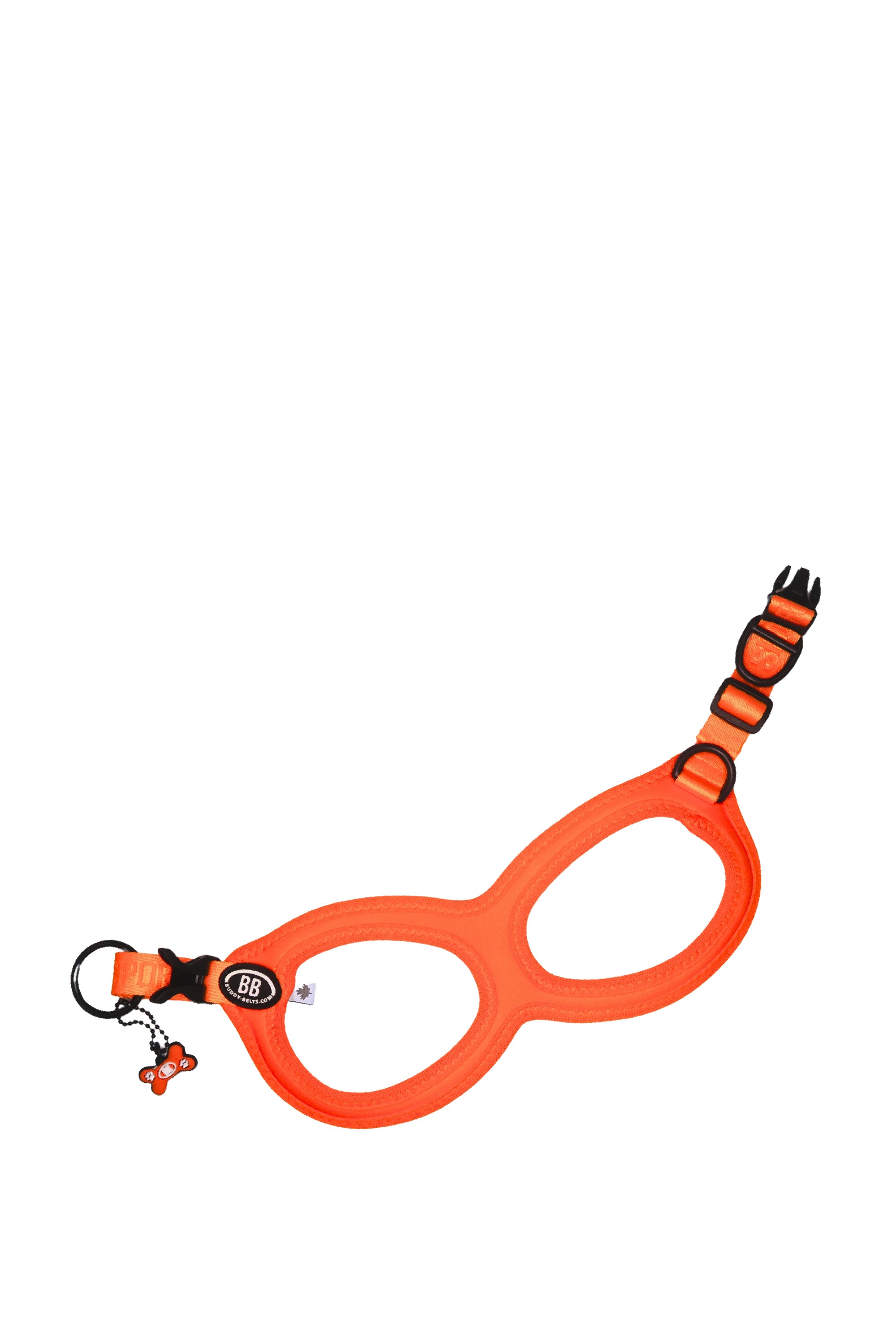 BuddyBelts Harness & Lead – Firefly