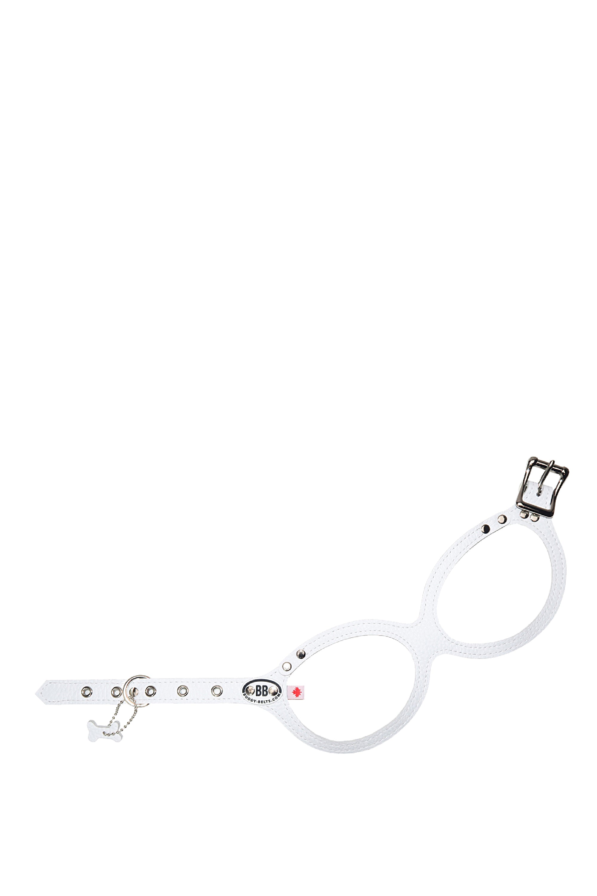 BuddyBelts Harness & Lead – Whitecap
