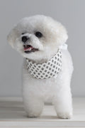 NEAR Dog Scarf