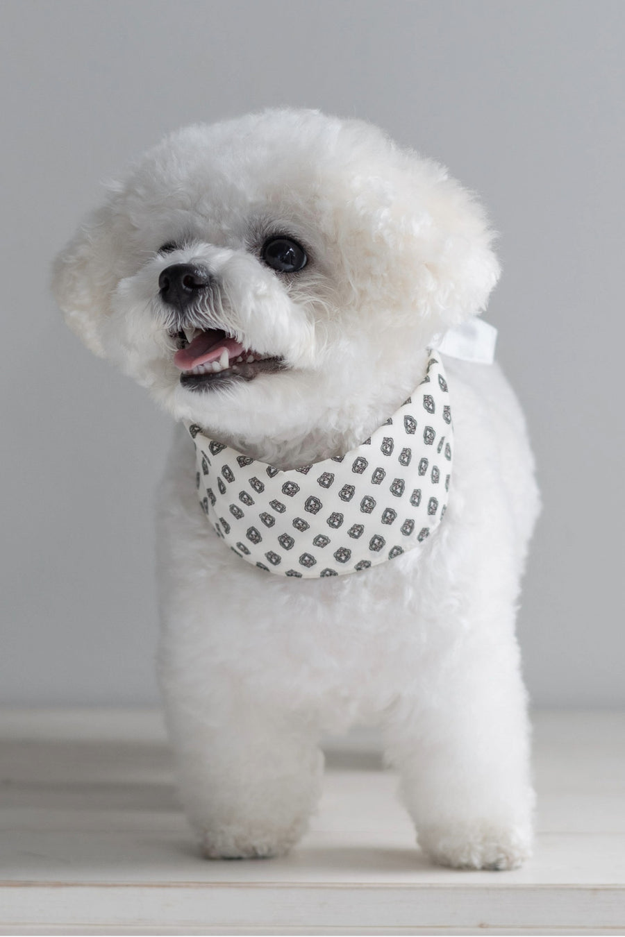 NEAR Dog Scarf