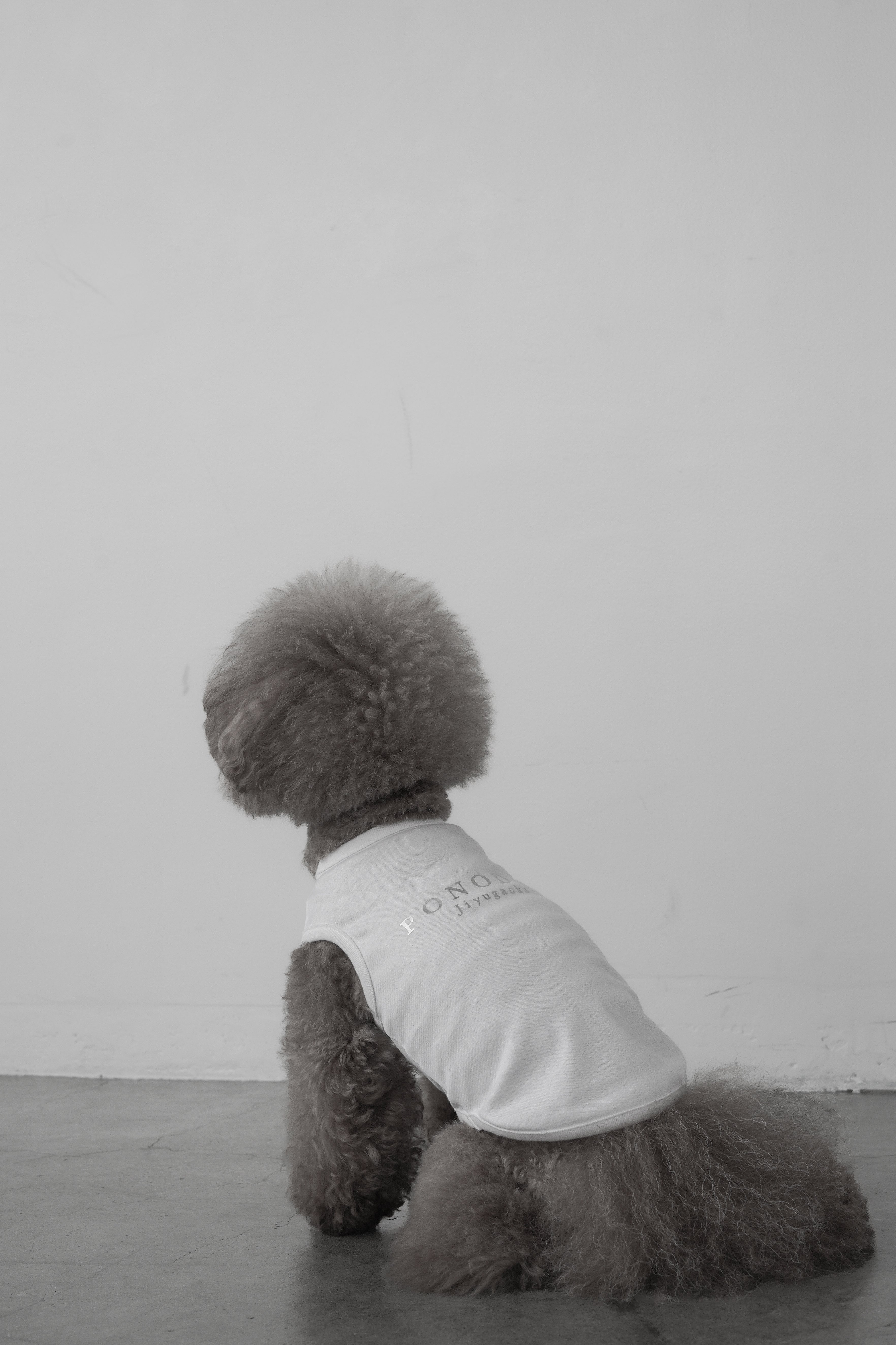 LOOK 01
