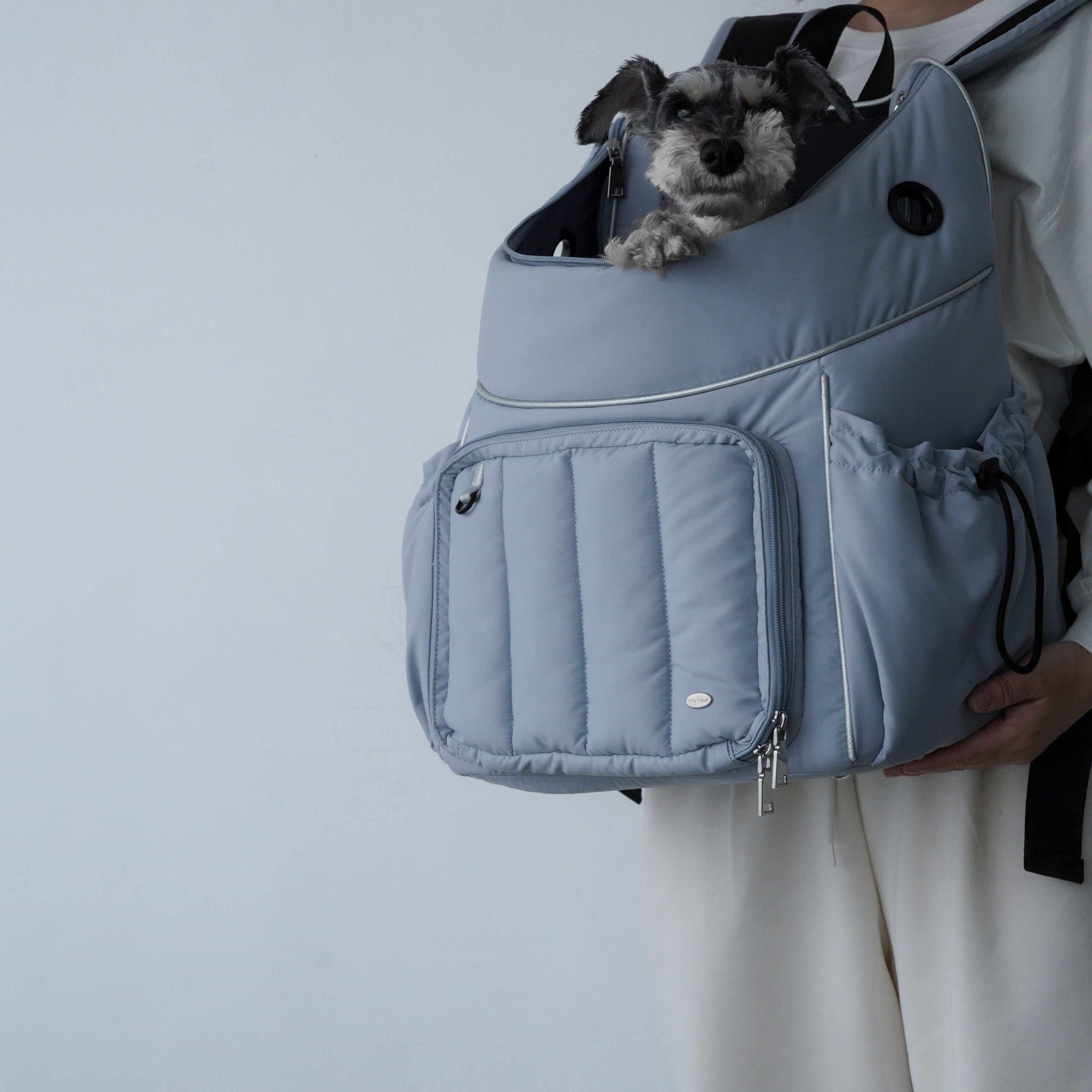 Backpack Carrier L