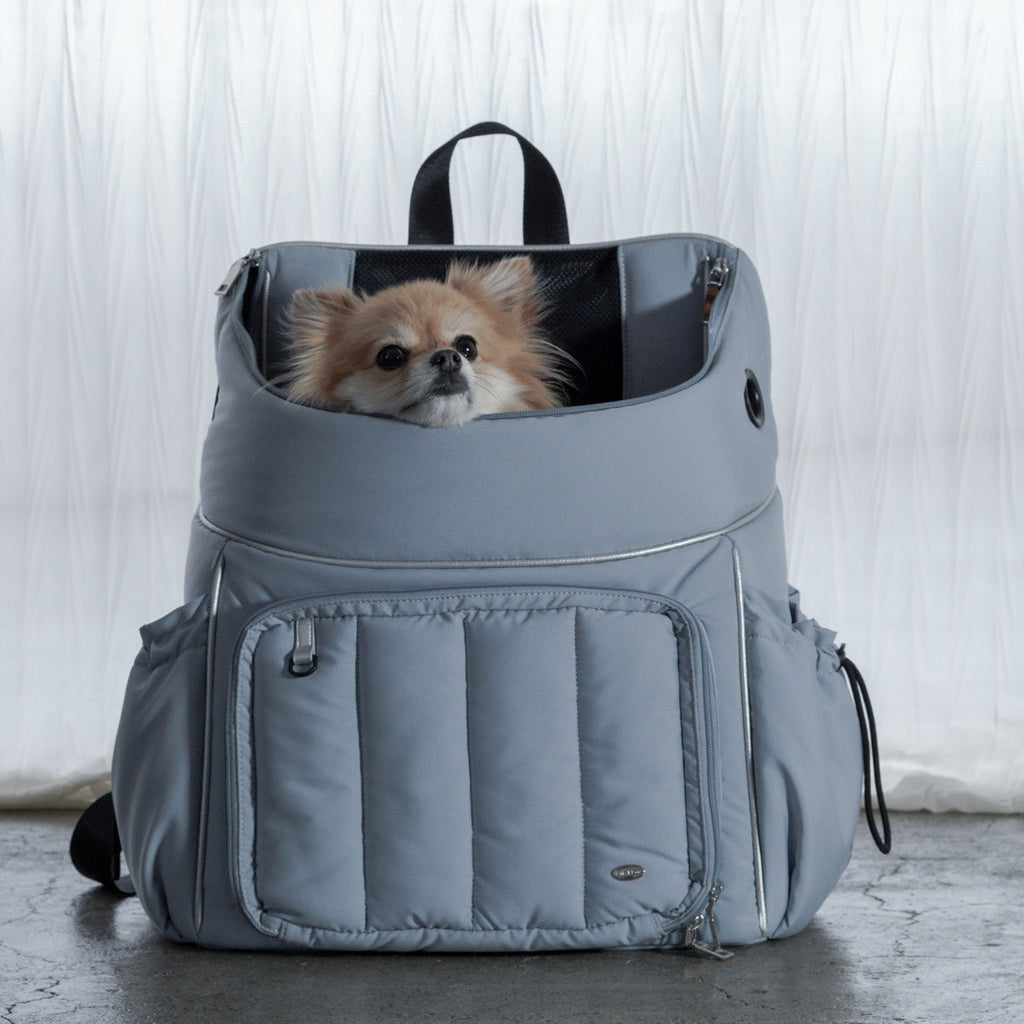 Backpack Carrier L