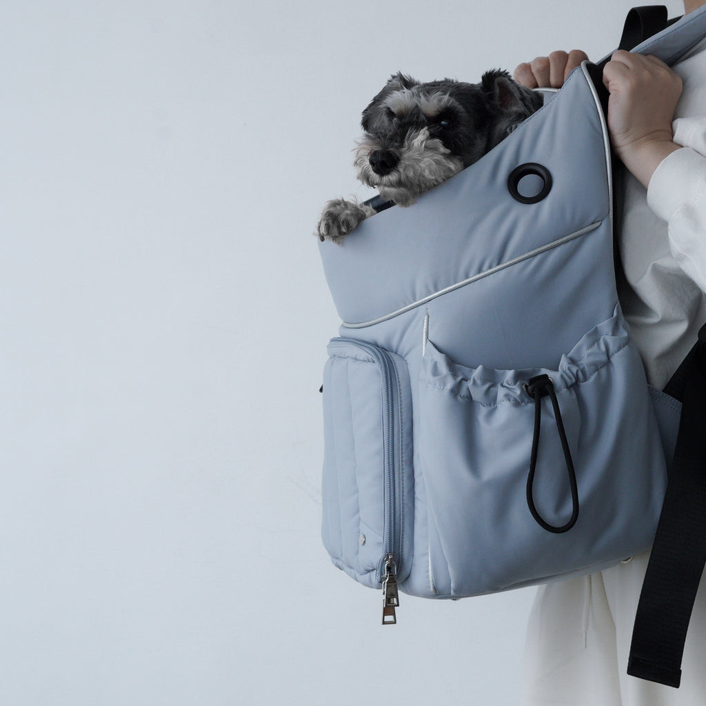 Backpack Carrier L