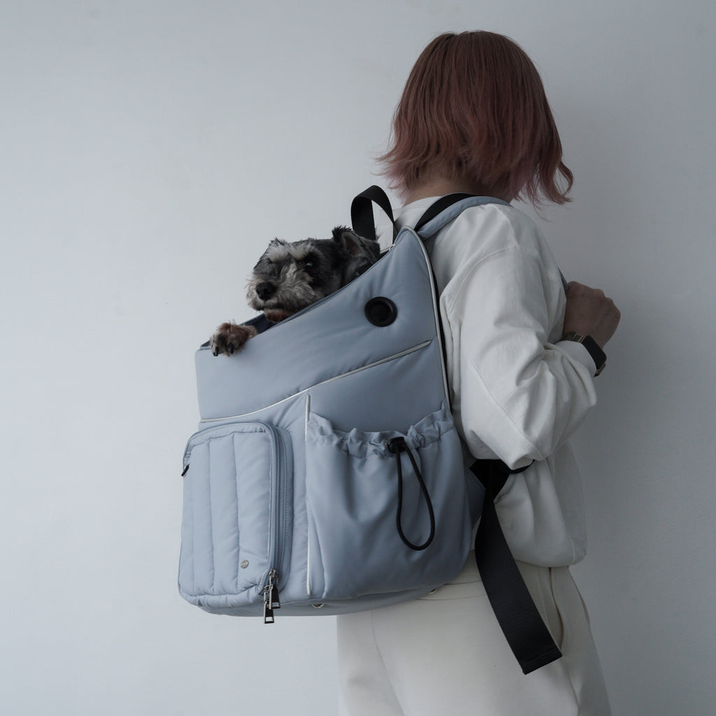 Backpack Carrier L