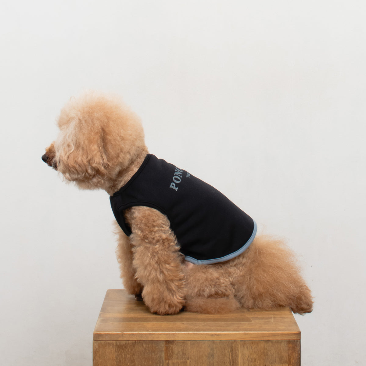 Warm Logo Sweat - Black × Blue Grey