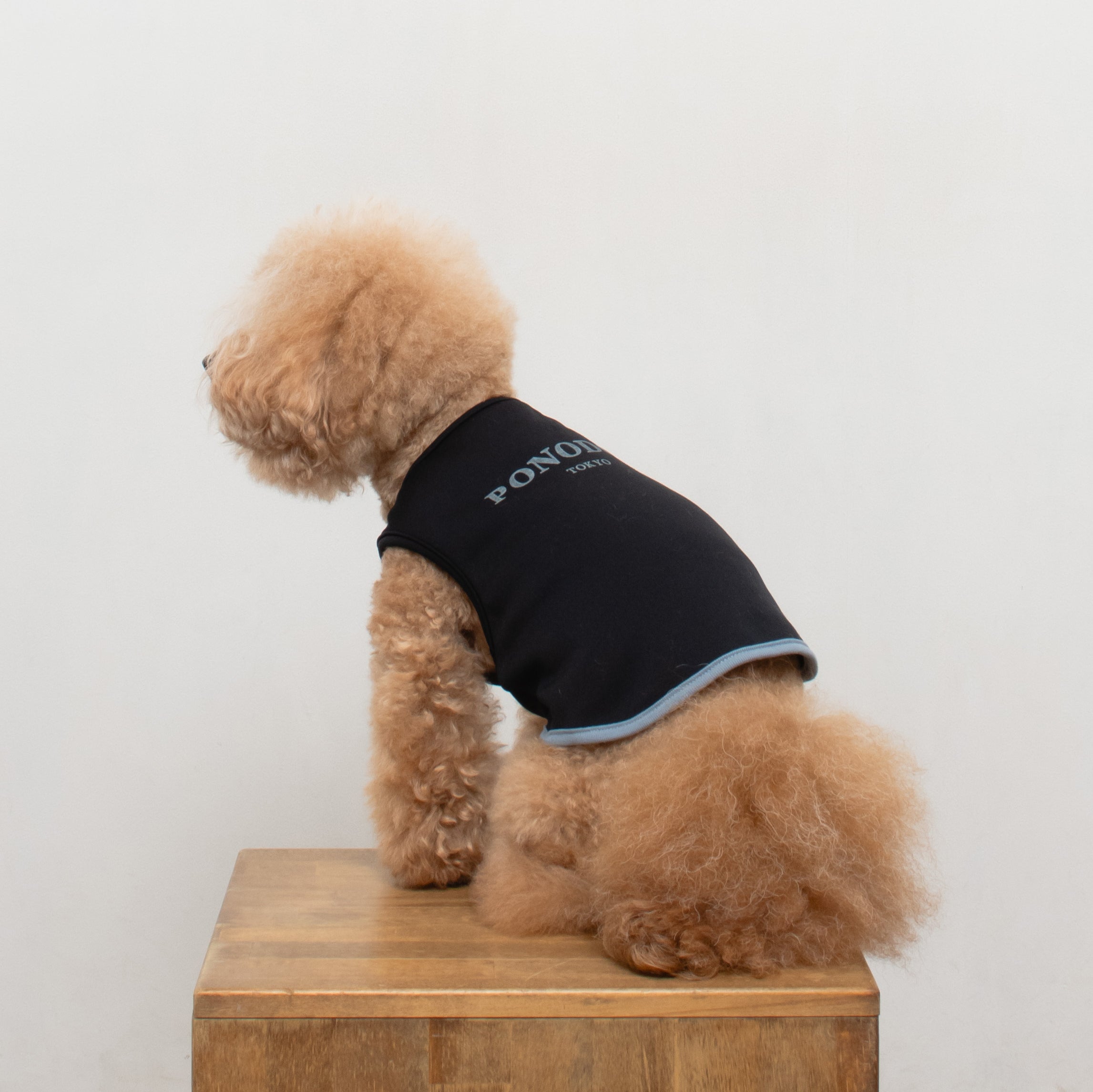 Warm Logo Sweat - Black × Blue Grey