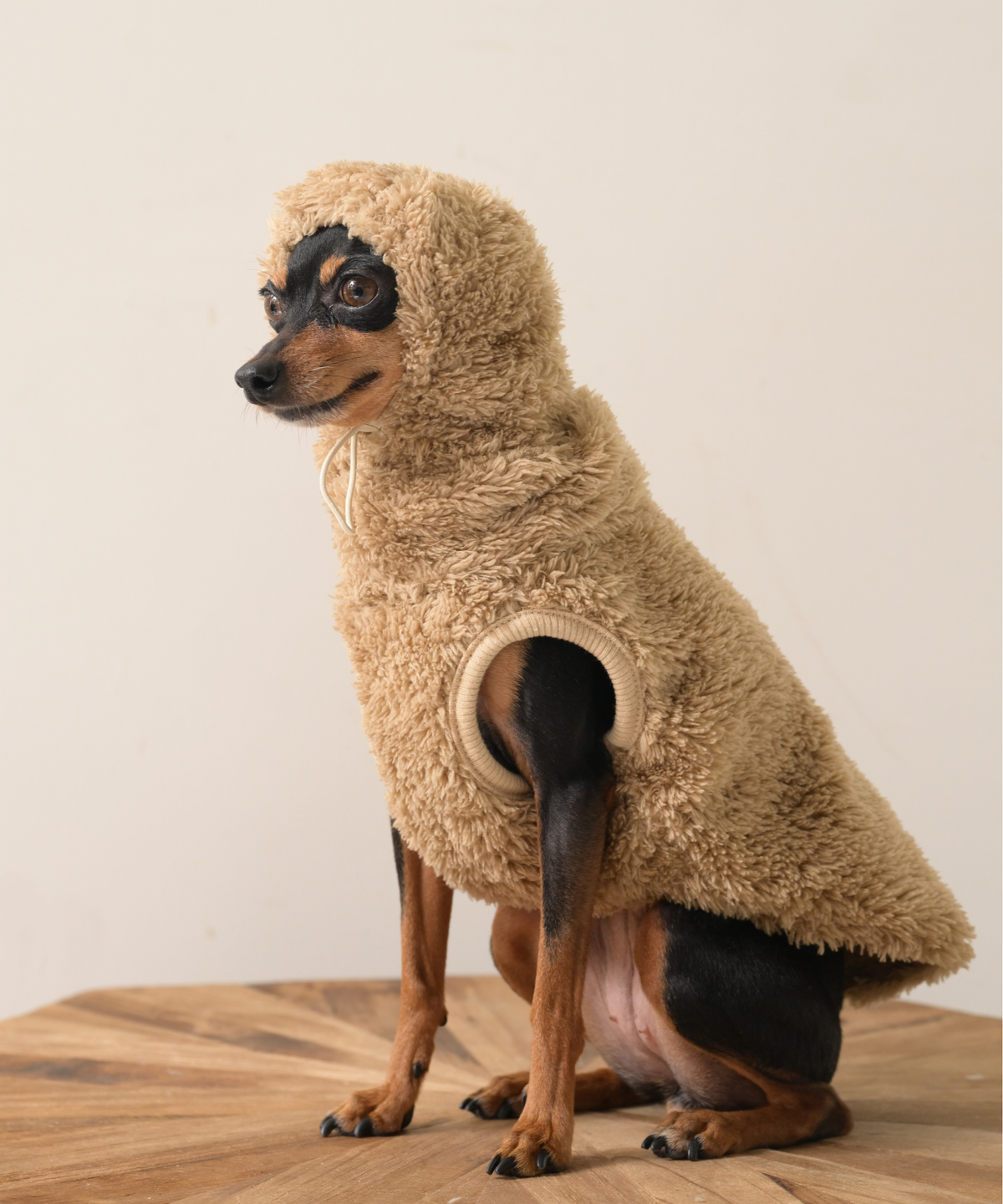 PONODOG別注 COTIRA バラクラバファーベスト Camel（キャメル）｜耳まで包むバラクラバデザインと柔らかなファー素材が特徴の犬服。PONODOG＆自由が丘店・公式オンラインストア限定販売。