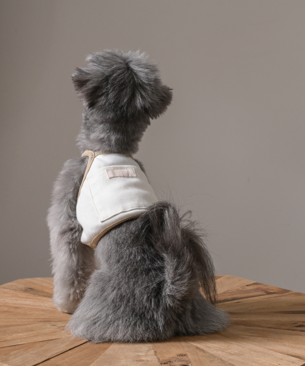 COTIRA × PONODOG別注カラー「Sand」の犬用クールウェア。背中に保冷剤ポケットを備えたショート丈デザイン。コットン55％・レーヨン45％のやわらかな冷感素材を使用した、UVカット機能付きの夏用ドッグウェア。