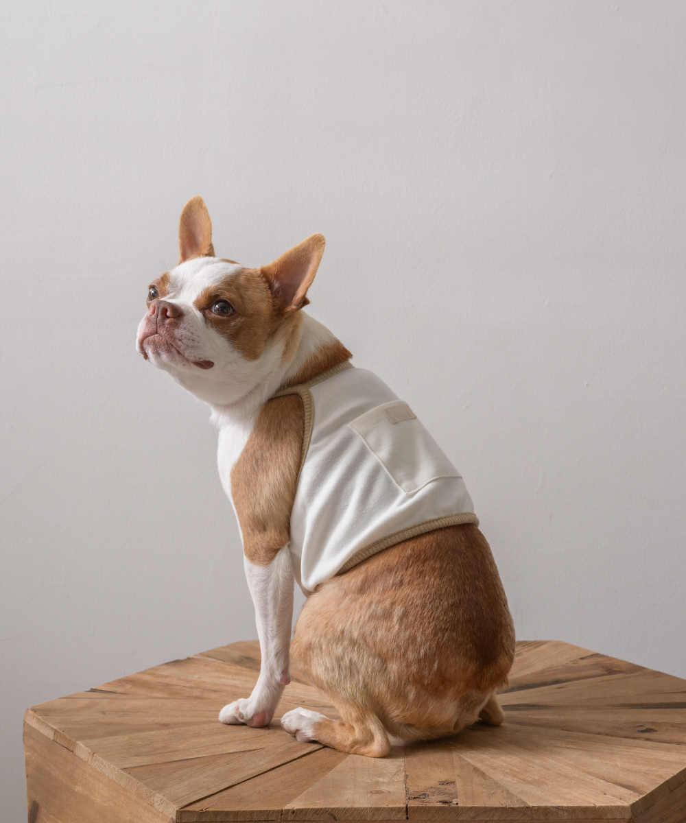 COTIRA × PONODOG別注カラー「Sand」の犬用クールウェア。背中に保冷剤ポケットを備えたショート丈デザイン。コットン55％・レーヨン45％のやわらかな冷感素材を使用した、UVカット機能付きの夏用ドッグウェア。