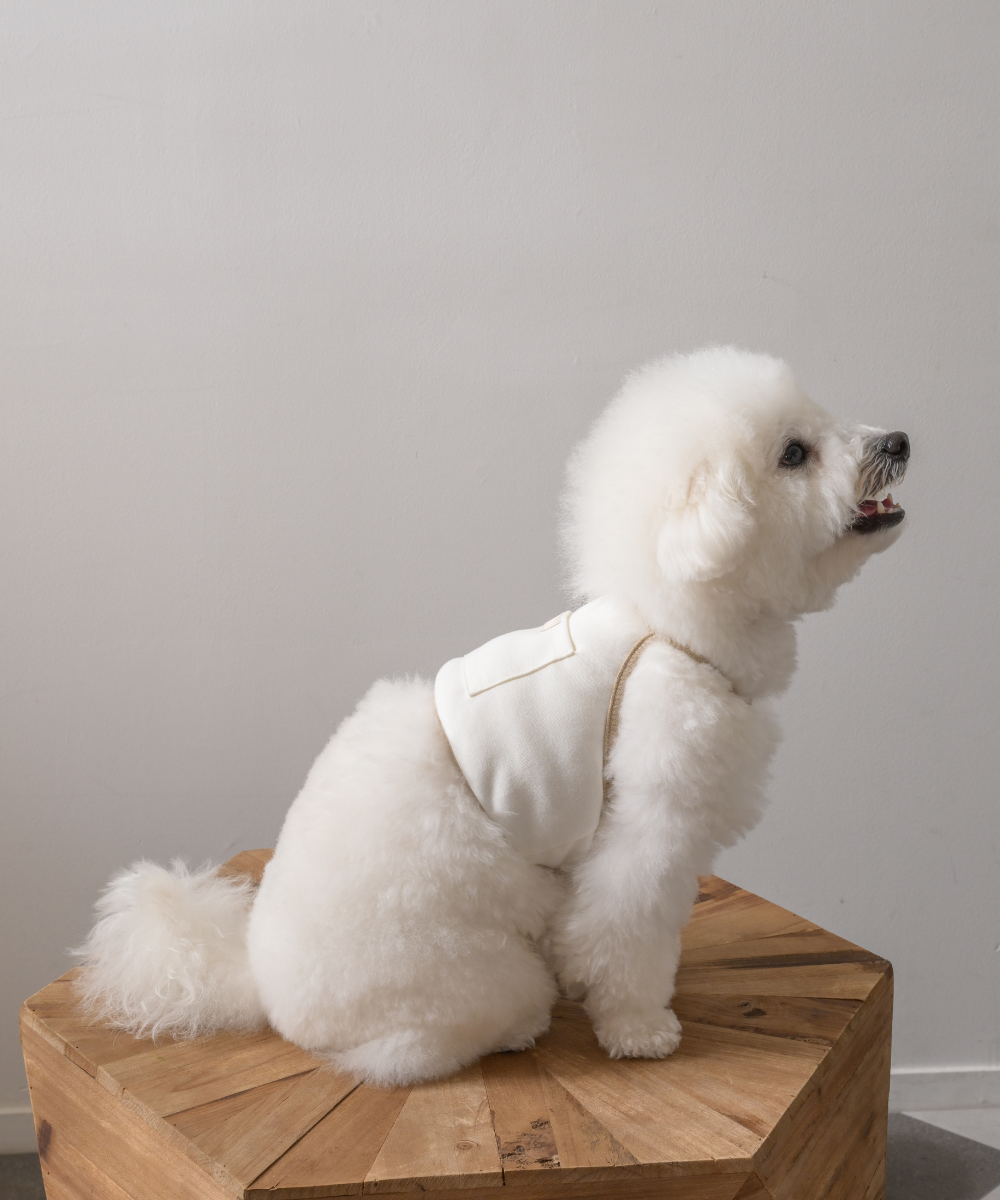 COTIRA × PONODOG別注カラー「Sand」の犬用クールウェア。背中に保冷剤ポケットを備えたショート丈デザイン。コットン55％・レーヨン45％のやわらかな冷感素材を使用した、UVカット機能付きの夏用ドッグウェア。