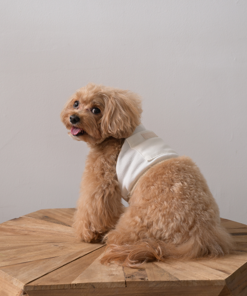 COTIRA × PONODOG別注カラー「Sand」の犬用クールウェア。背中に保冷剤ポケットを備えたショート丈デザイン。コットン55％・レーヨン45％のやわらかな冷感素材を使用した、UVカット機能付きの夏用ドッグウェア。