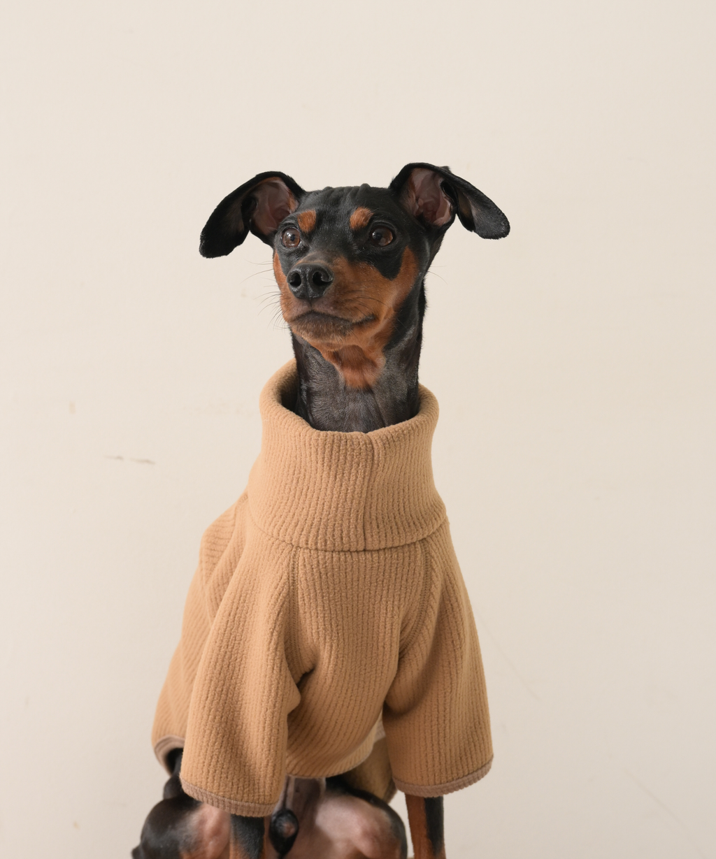 COTIRA × PONODOG別注カラー「キャメル」の犬用ハイネックリサイクルリブフリース。リサイクルポリエステル100％のやわらかな素材とラグラン袖を採用した、日本製の秋冬用ドッグウェア。