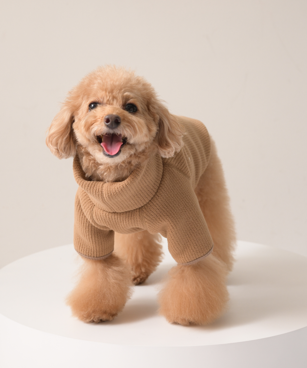 COTIRA × PONODOG別注カラー「キャメル」の犬用ハイネックリサイクルリブフリース。リサイクルポリエステル100％のやわらかな素材とラグラン袖を採用した、日本製の秋冬用ドッグウェア。