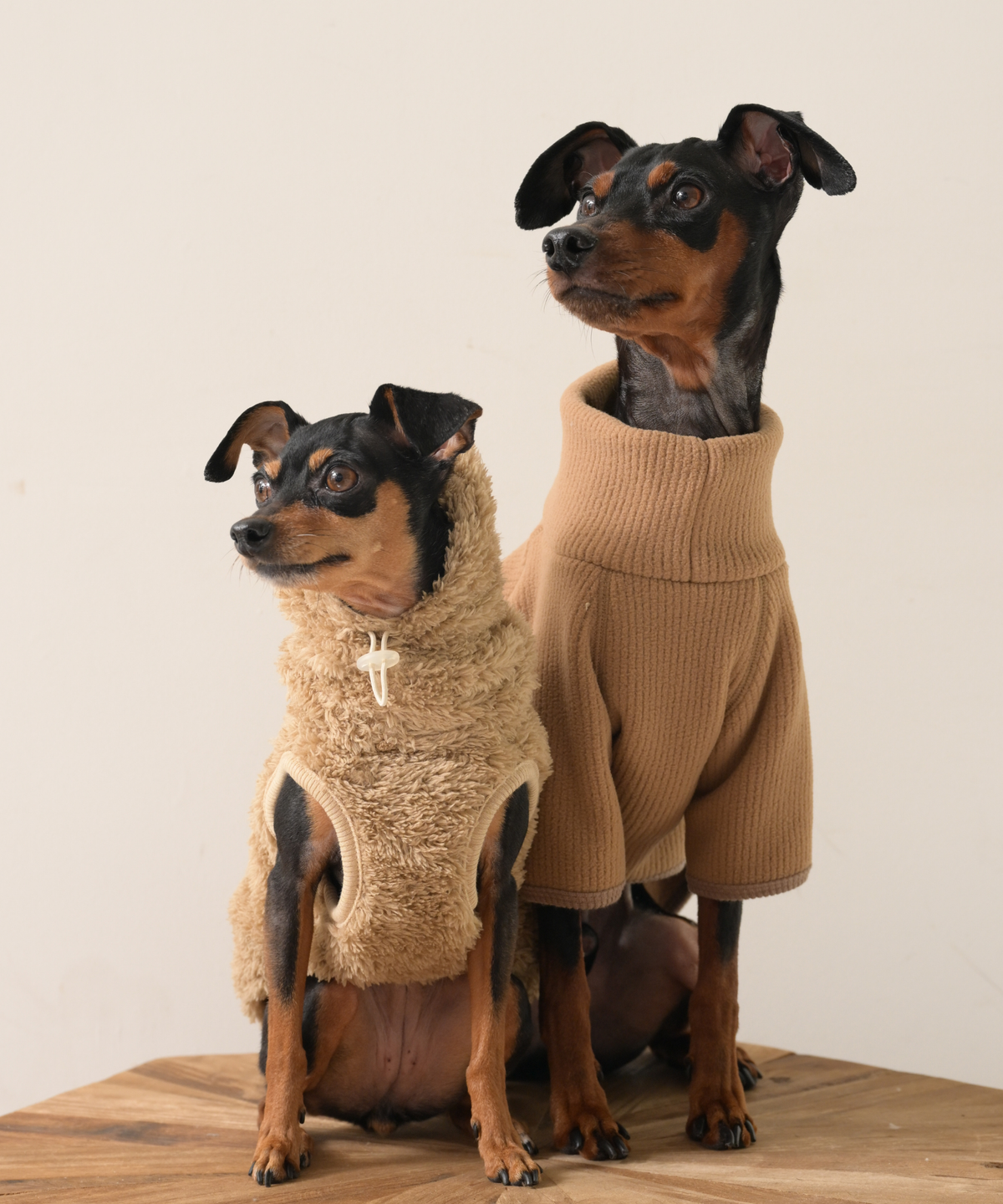 COTIRA × PONODOG別注カラー「キャメル」の犬用ハイネックリサイクルリブフリース。リサイクルポリエステル100％のやわらかな素材とラグラン袖を採用した、日本製の秋冬用ドッグウェア。
