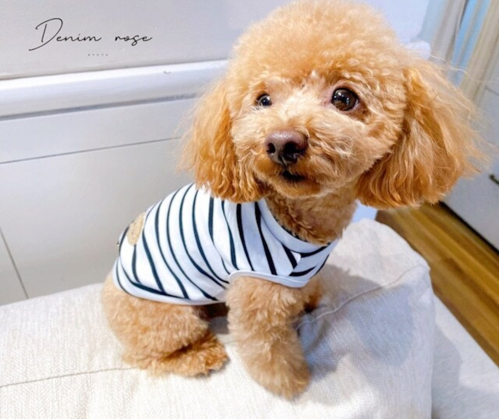 Denim Rose 袖なし太番手ワッペンボーダーノースリーブ