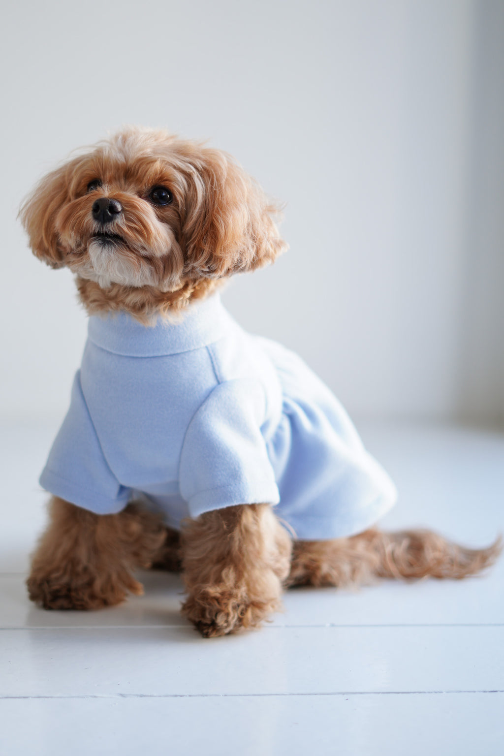 PONODOG Flare Coat ライトブルー｜背中ボタンで着せやすい犬服・フレアコート