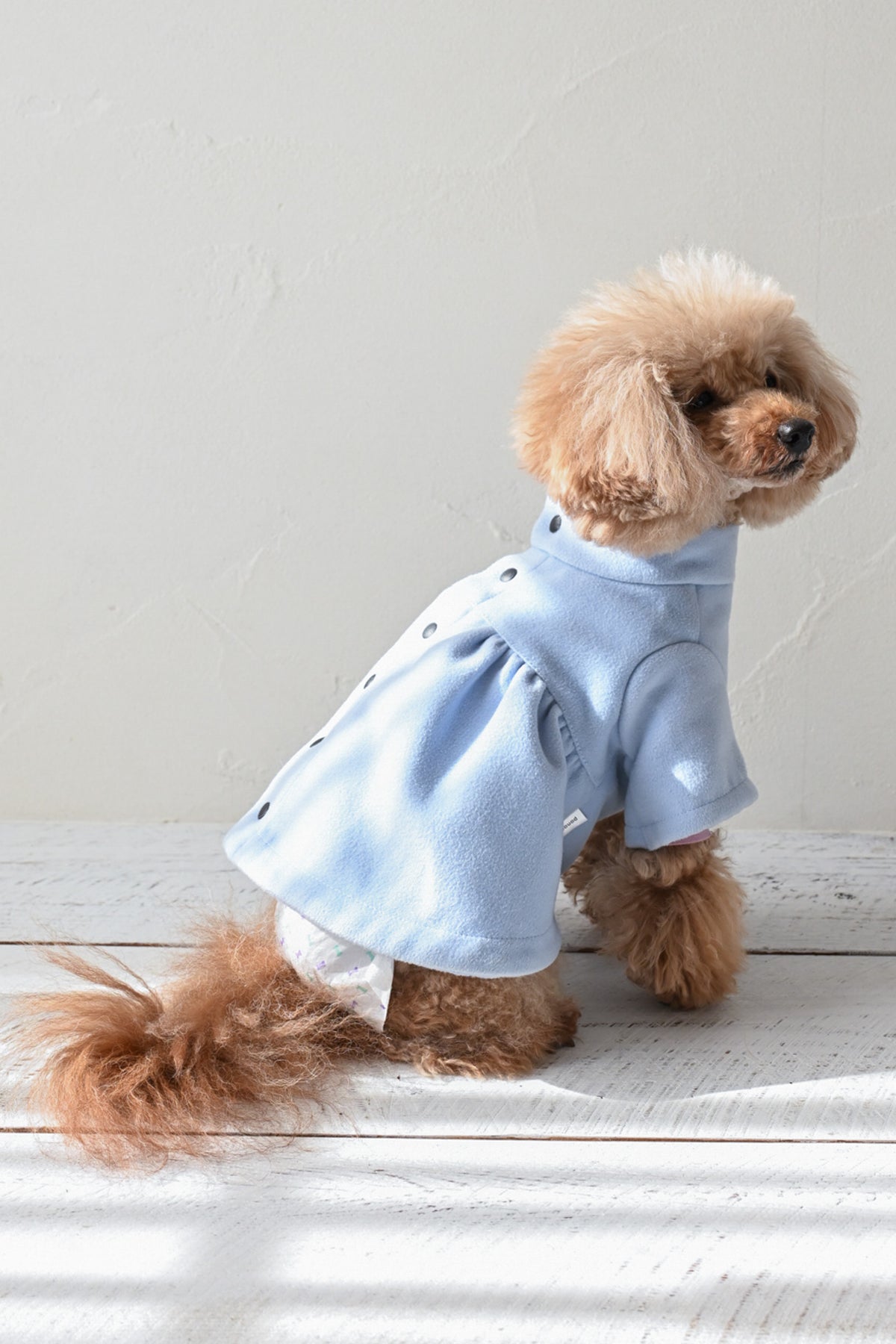 PONODOG Flare Coat ライトブルー｜背中ボタンで着せやすい犬服・フレアコート