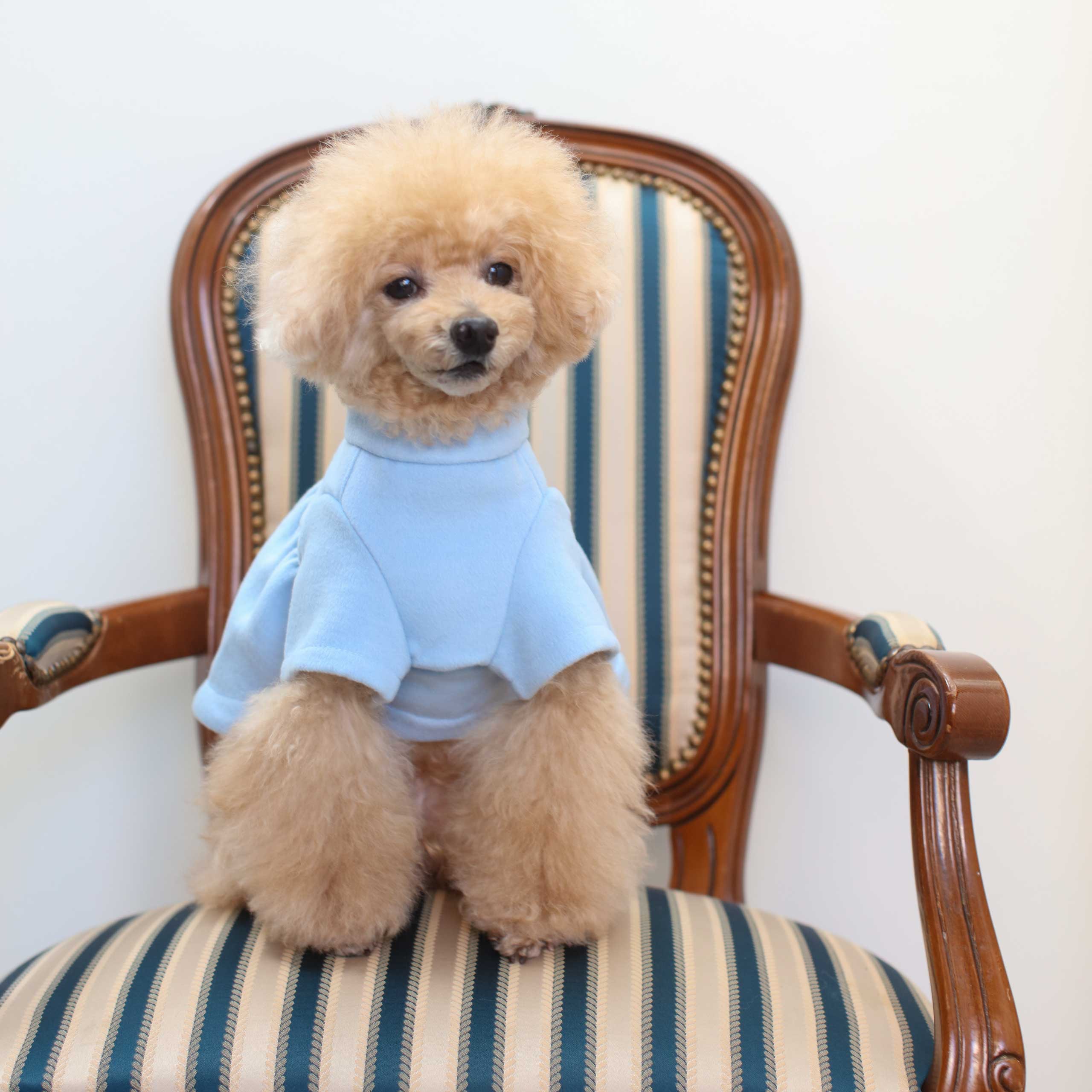 Flare Coat - Light Blue