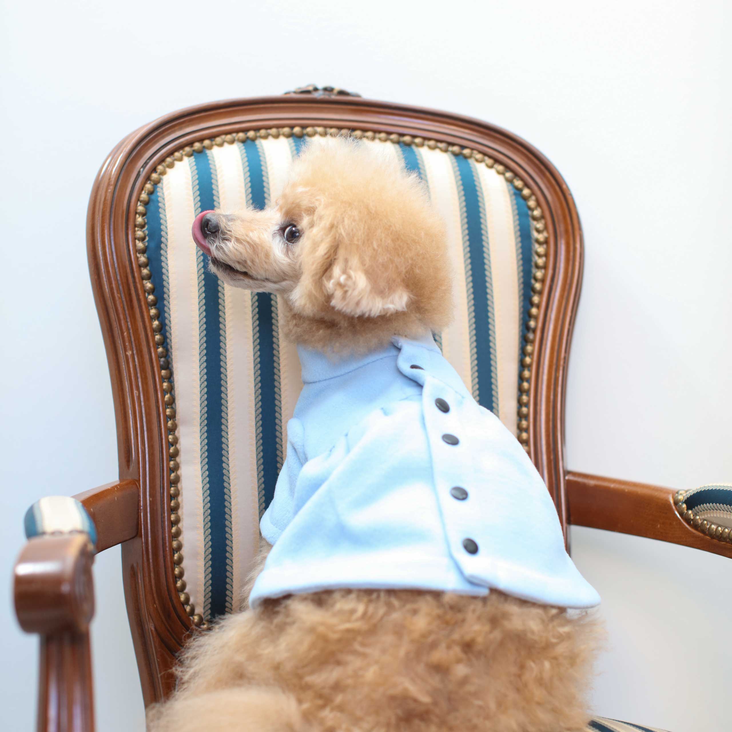 Flare Coat - Light Blue