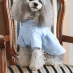 Flare Coat - Light Blue