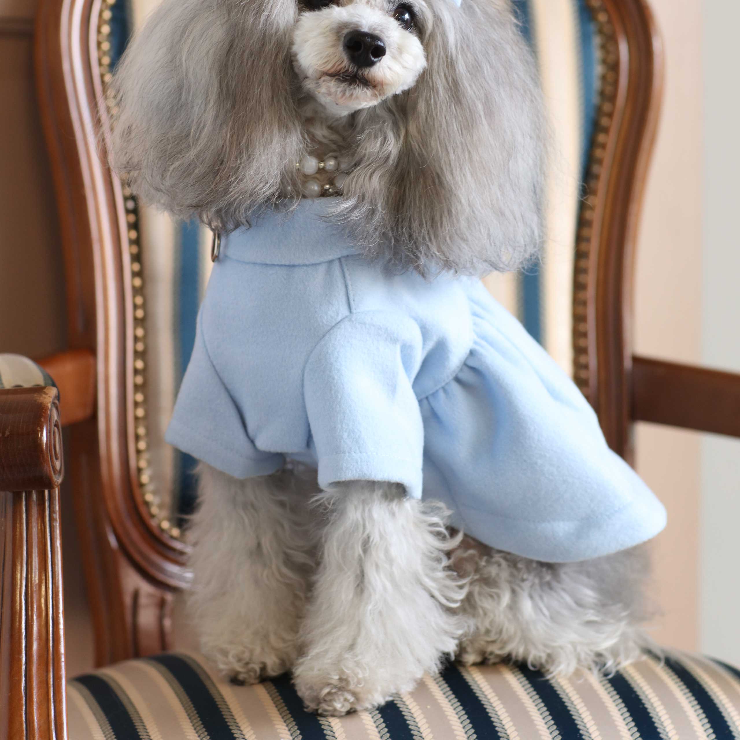 Flare Coat - Light Blue