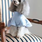 Flare Coat - Light Blue