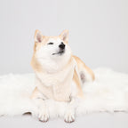 Puff Vest - White