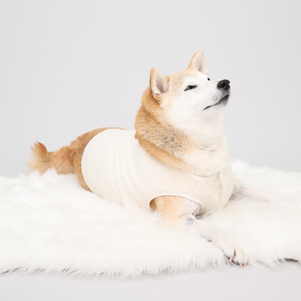 Puff Vest - White