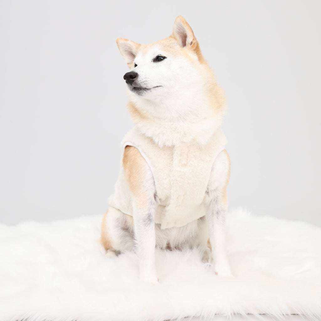 Puff Vest - White