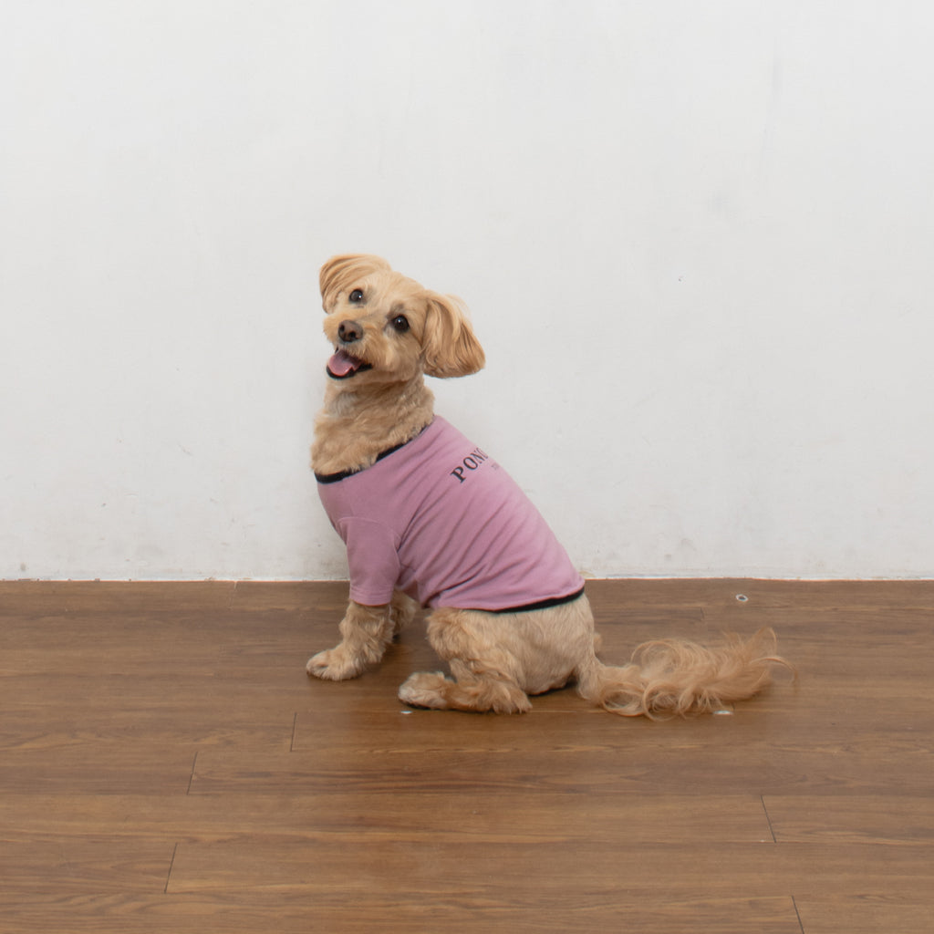 Warm Logo Tee - Blueberry