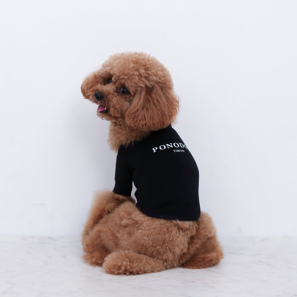 Warm Logo Tee - Black