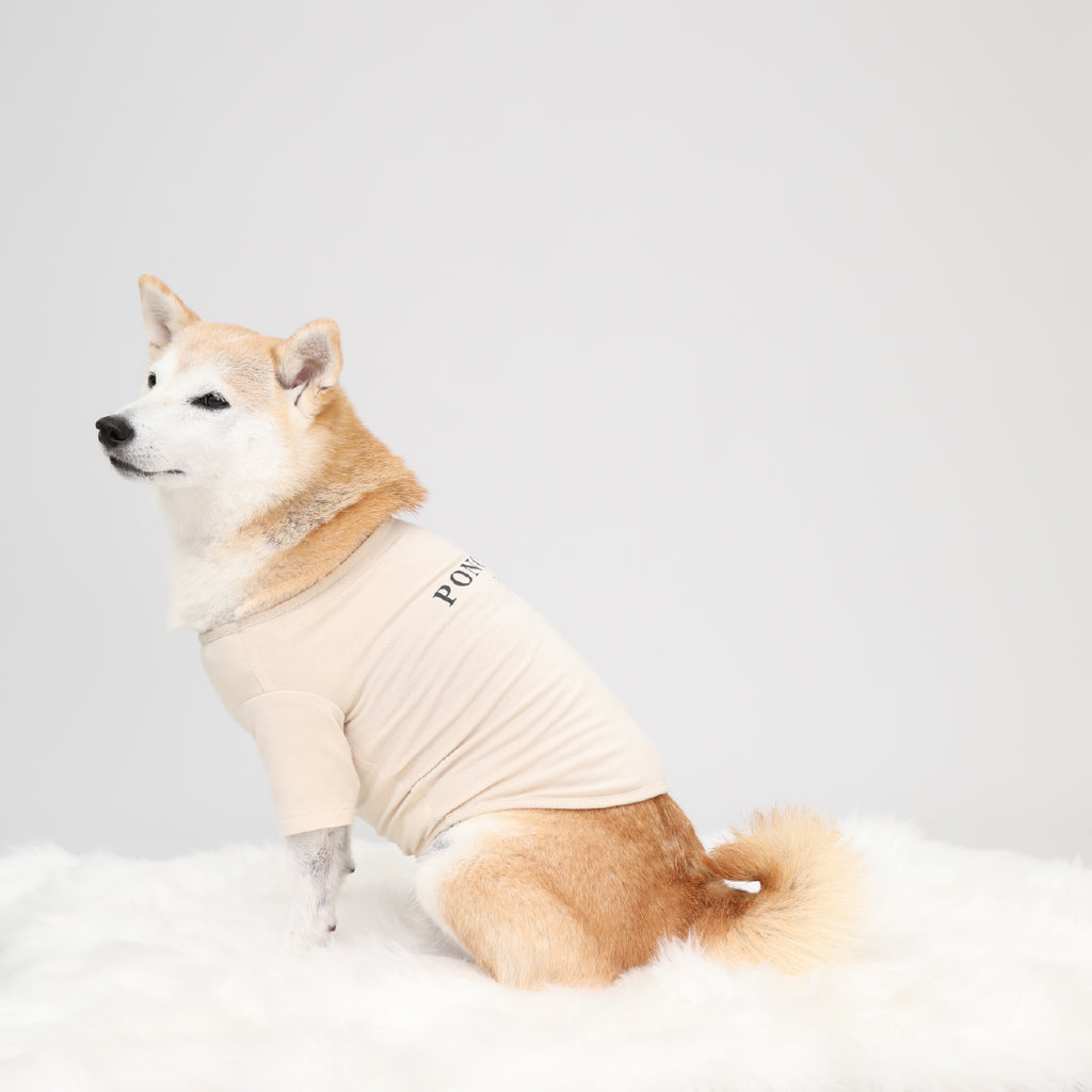 Warm Logo Tee - Ivory