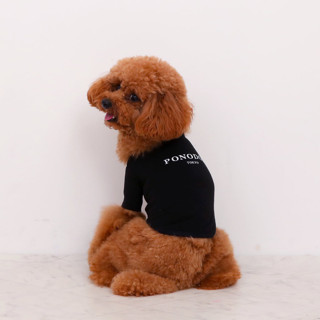 Warm Logo Tee - Ivory