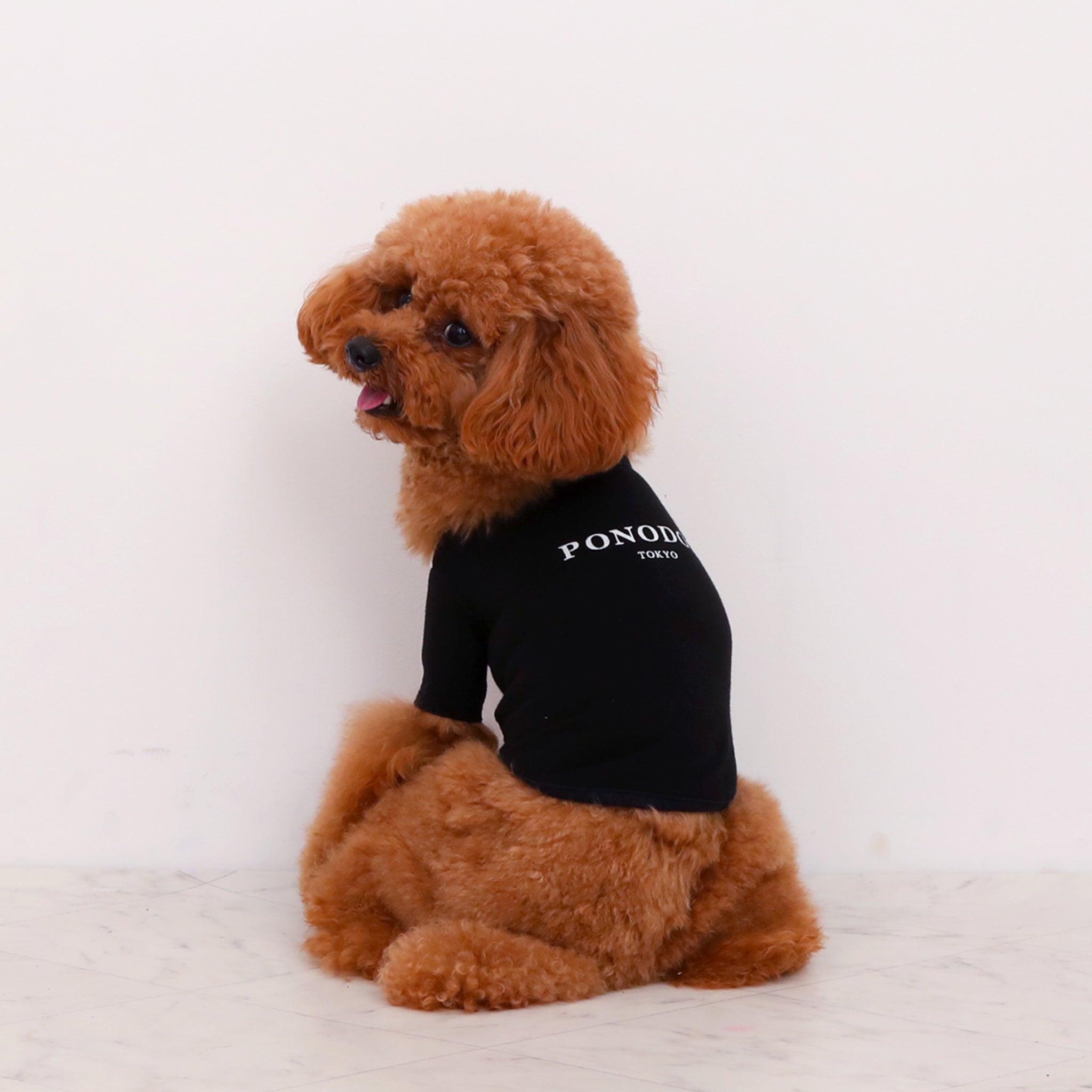 Warm Logo Tee - Ivory