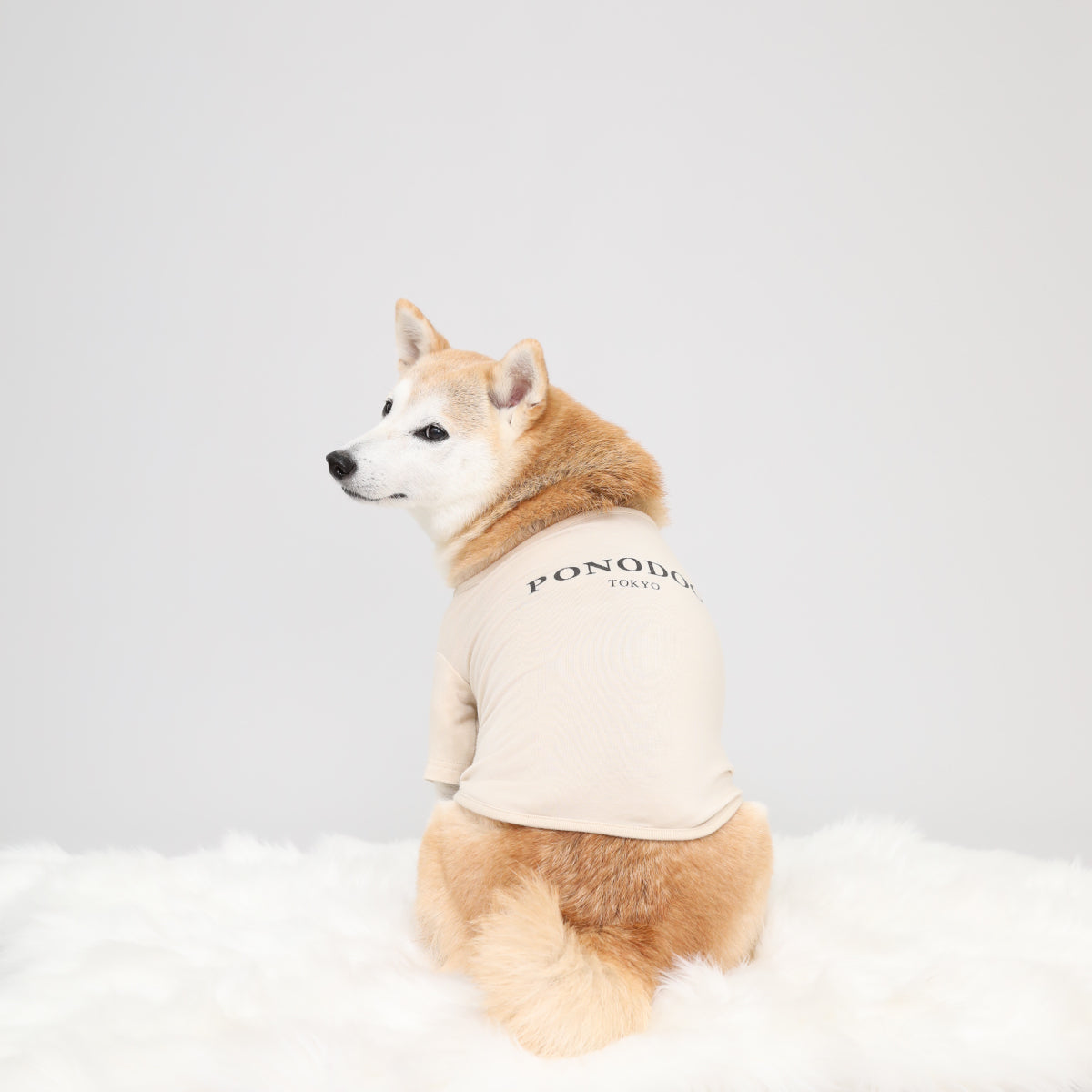 Warm Logo Tee - Ivory