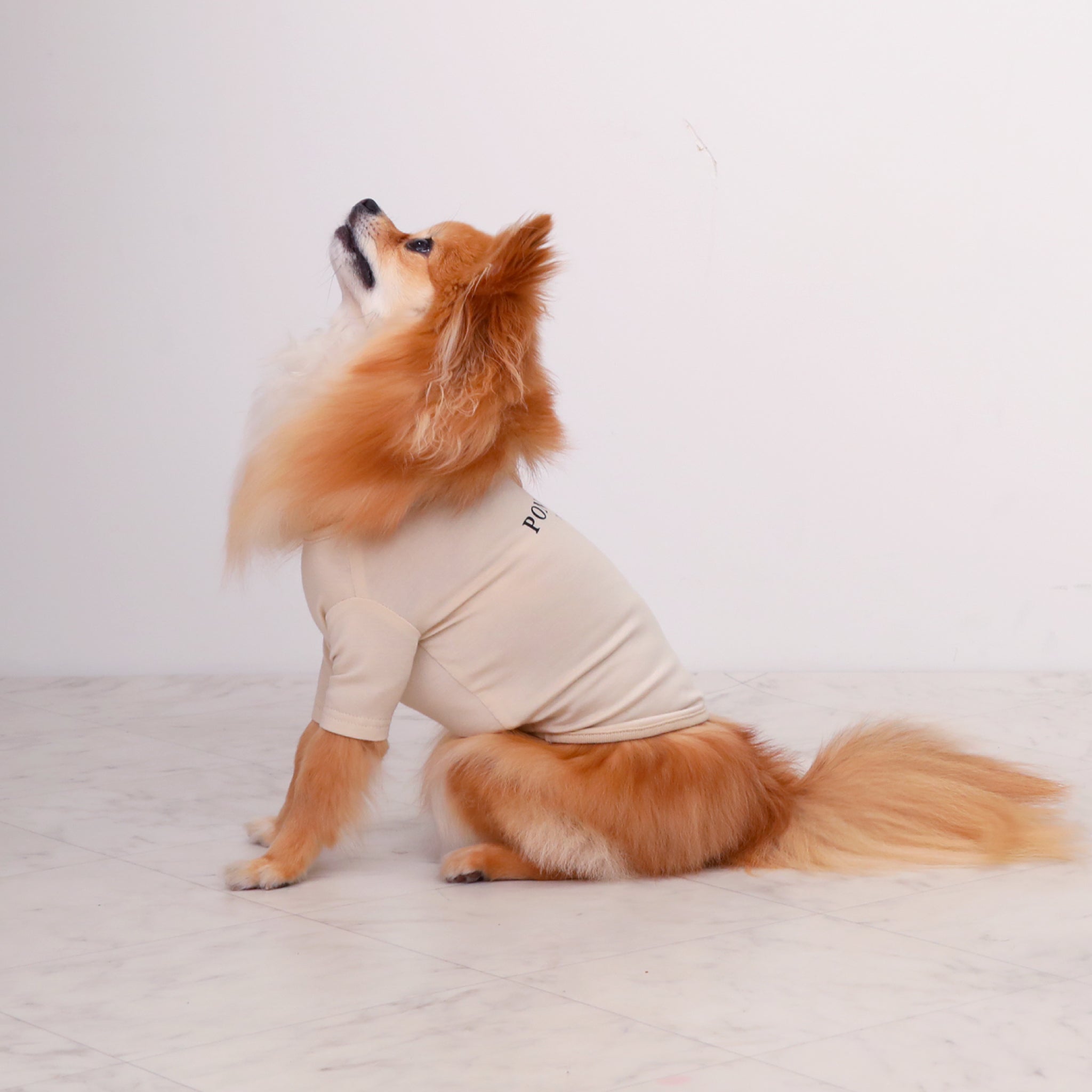Warm Logo Tee - Ivory
