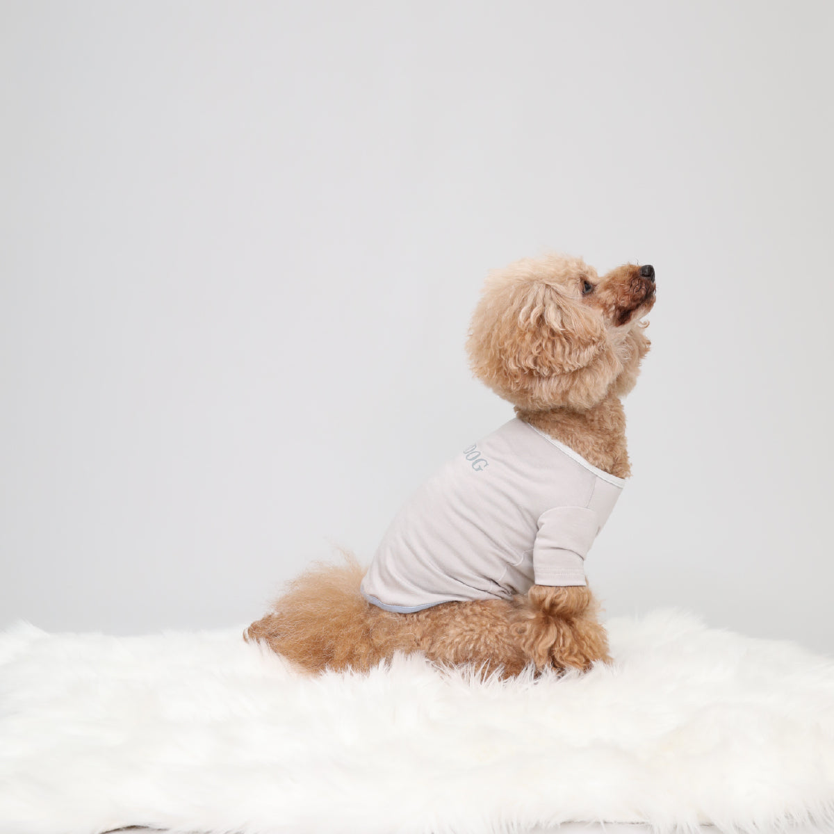 Warm Logo Tee - Light Grey